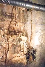 cordon de termites